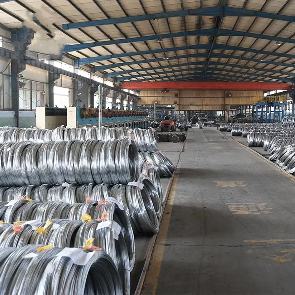 Galvanized steel wire3 Galvanized steel wire3
